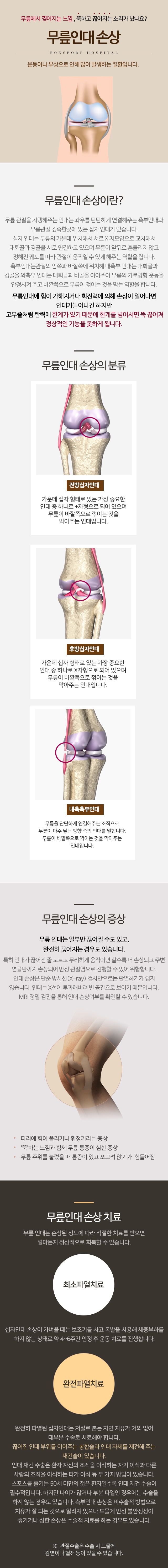 무릎인대 손상