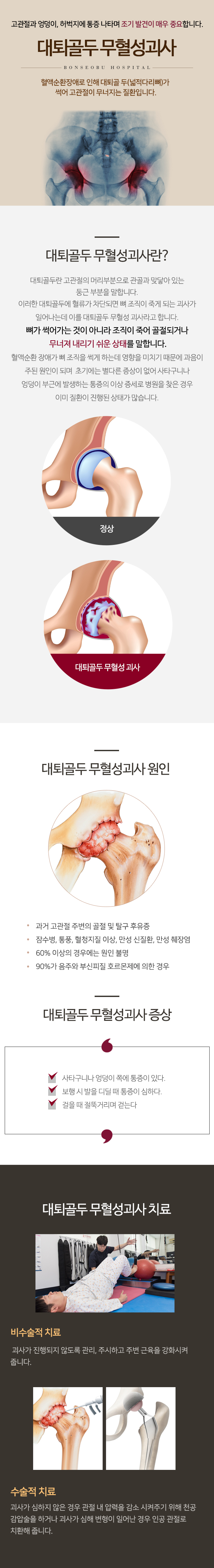 대퇴골두 무혈성괴사